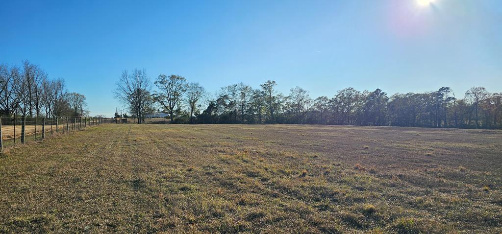 23.48 Acres South Park Rd, Slocomb, Alabama image 15