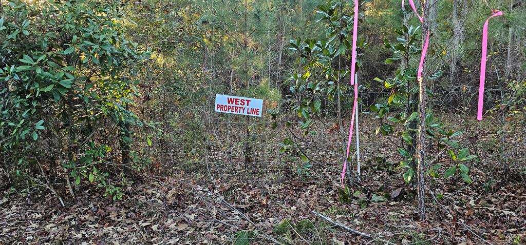 23.48 Acres South Park Rd, Slocomb, Alabama image 38