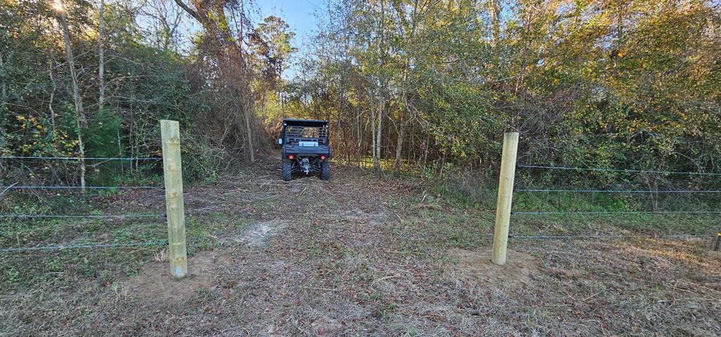 23.48 Acres South Park Rd, Slocomb, Alabama image 16