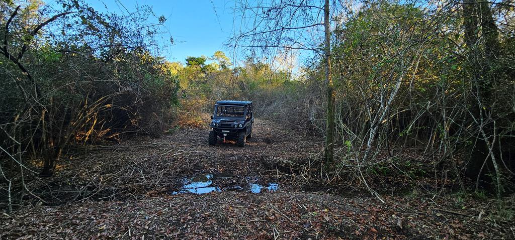 23.48 Acres South Park Rd, Slocomb, Alabama image 36