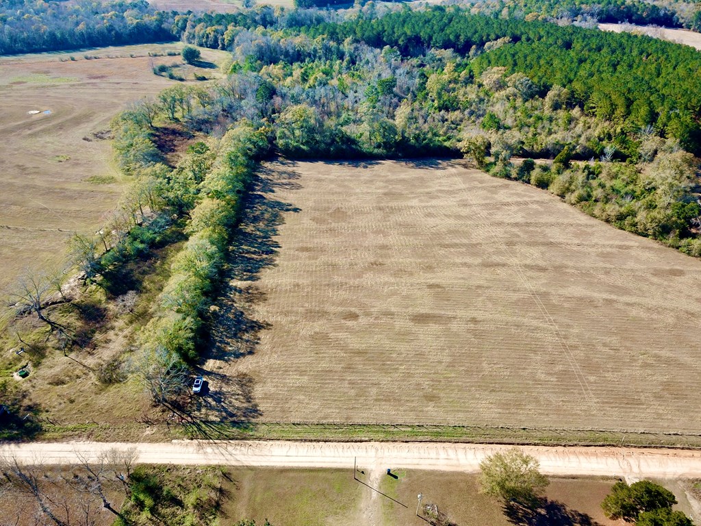 23.48 Acres South Park Rd, Slocomb, Alabama image 48