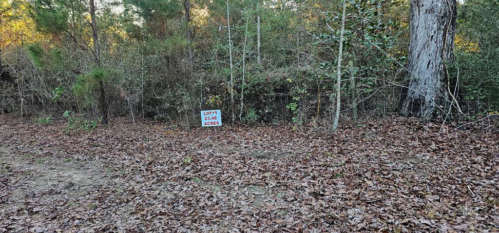 23.48 Acres South Park Rd, Slocomb, Alabama image 37