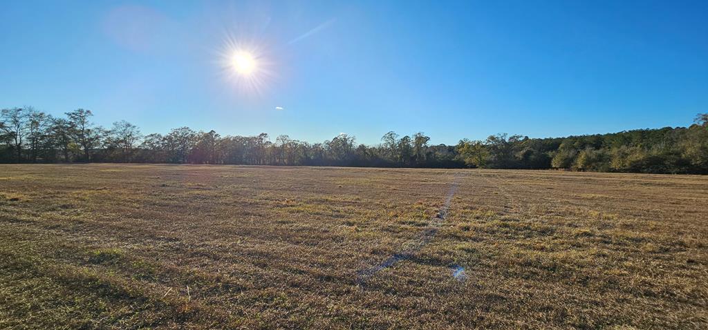 23.48 Acres South Park Rd, Slocomb, Alabama image 4