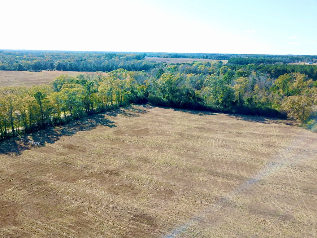 23.48 Acres South Park Rd, Slocomb, Alabama image 9