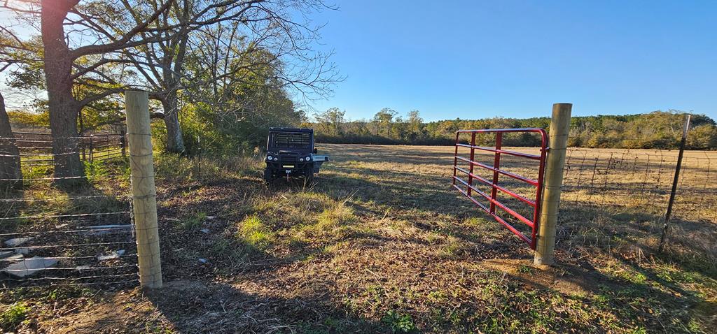 23.48 Acres South Park Rd, Slocomb, Alabama image 14