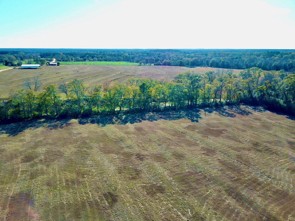 23.48 Acres South Park Rd, Slocomb, Alabama image 11