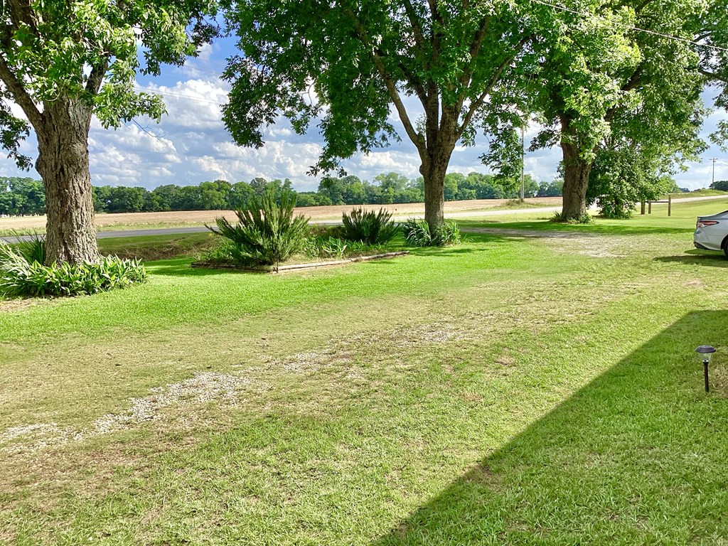 1997 County Road 26, Headland, Alabama image 3