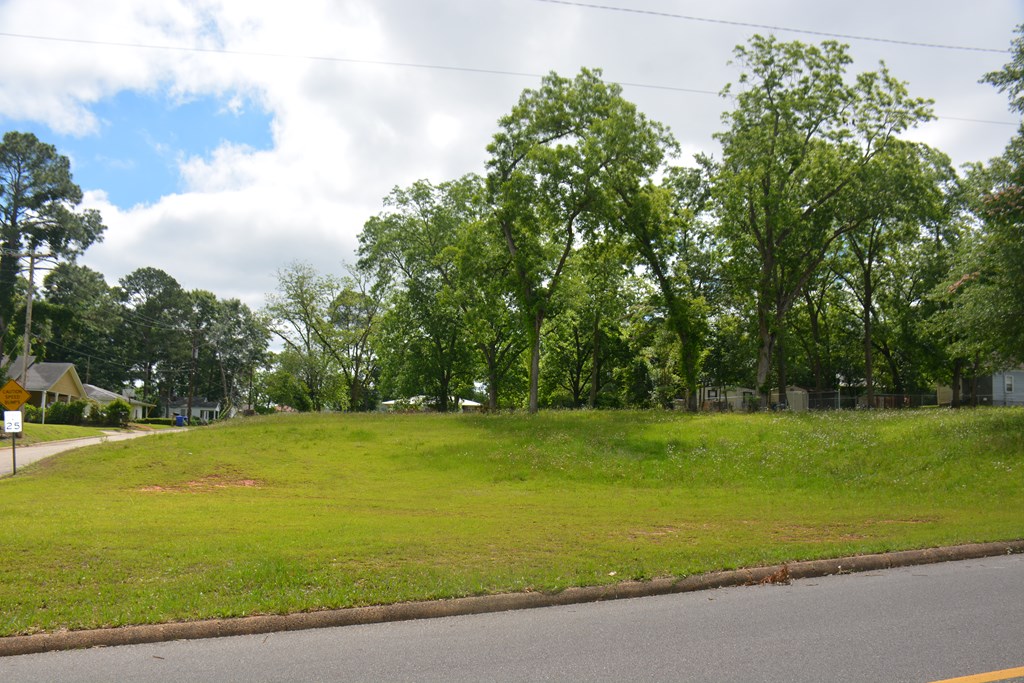 200 Banks Street, Troy, Alabama image 2