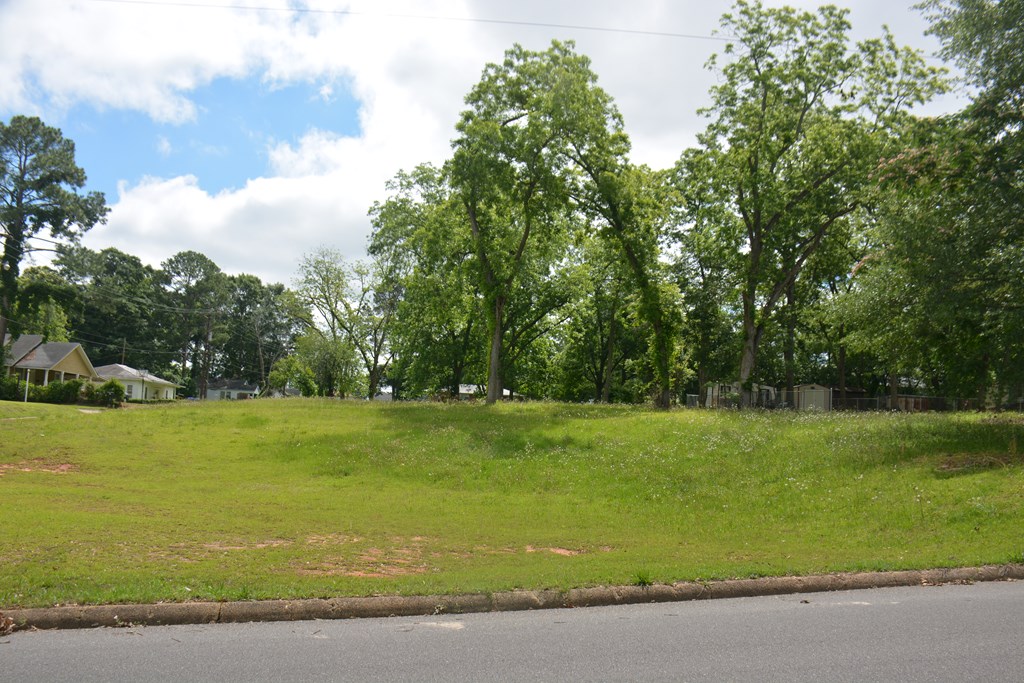 200 Banks Street, Troy, Alabama image 3