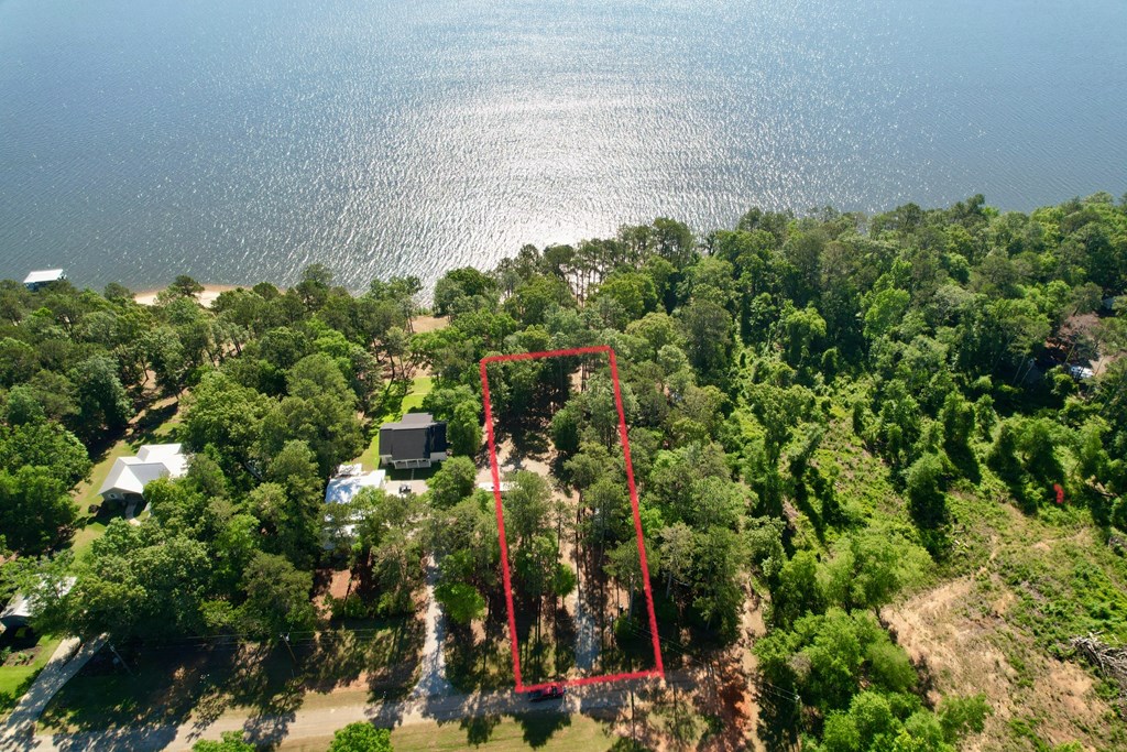 171 Lakeview Terrace, Abbeville, Alabama image 7