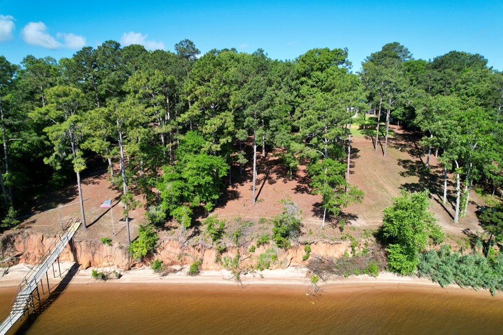 171 Lakeview Terrace, Abbeville, Alabama image 3