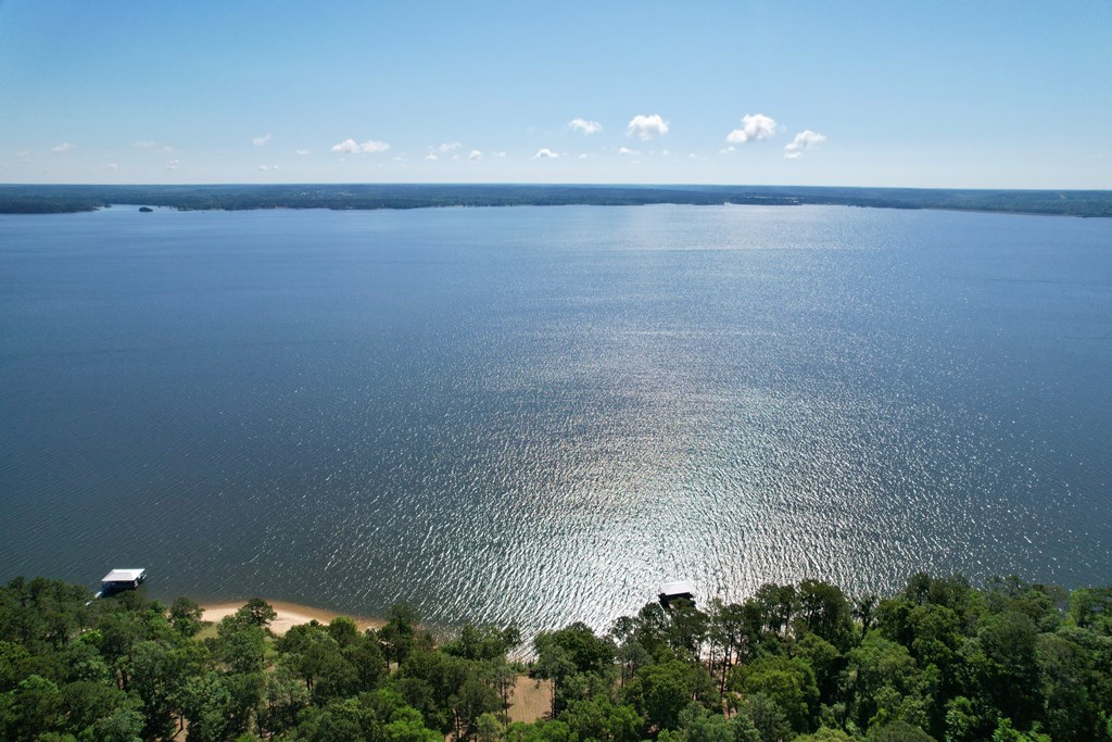 171 Lakeview Terrace, Abbeville, Alabama image 9