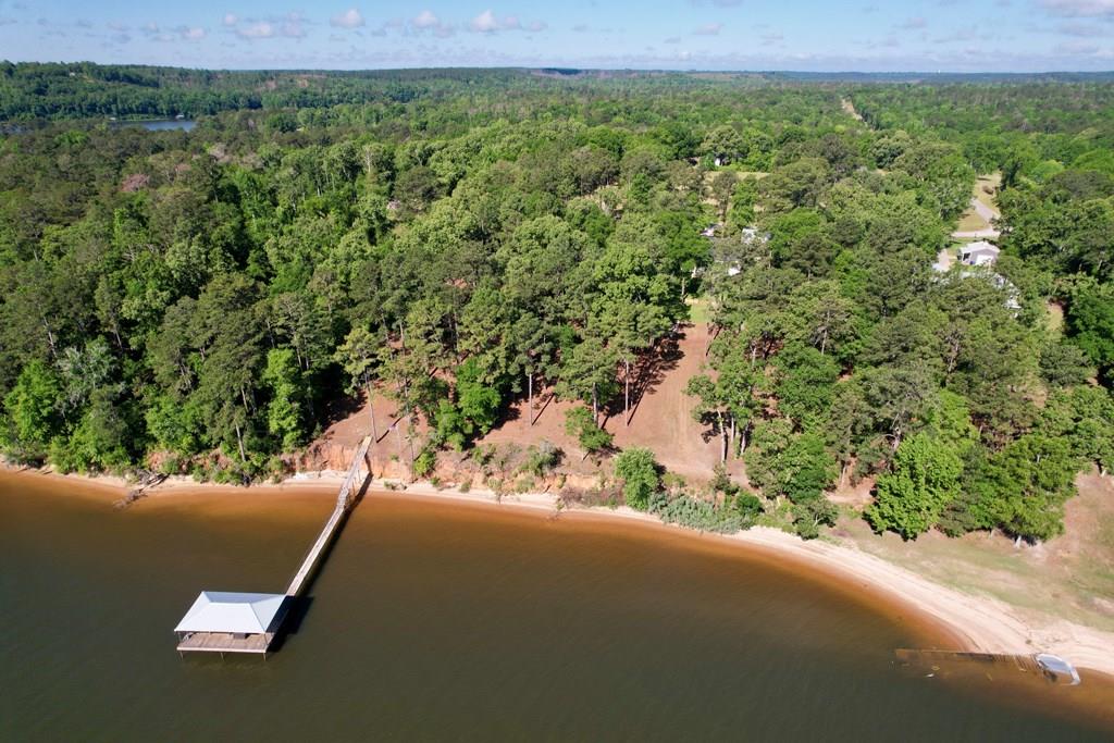 171 Lakeview Terrace, Abbeville, Alabama image 1