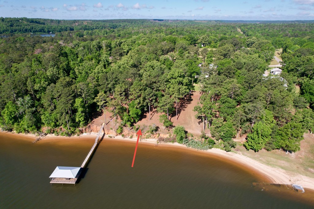 171 Lakeview Terrace, Abbeville, Alabama image 4