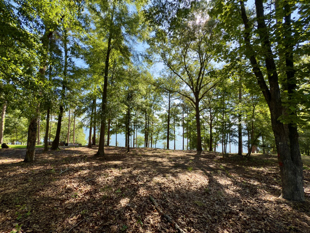 171 Lakeview Terrace, Abbeville, Alabama image 5