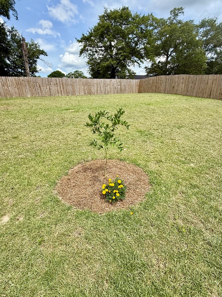 106 Sandpiper Ln, Dothan, Alabama image 21
