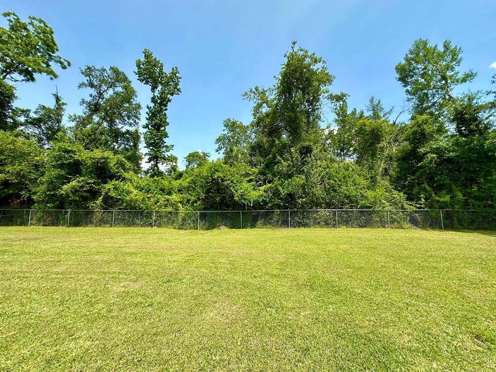 10221 S County Rd 55, Cottonwood, Alabama image 29