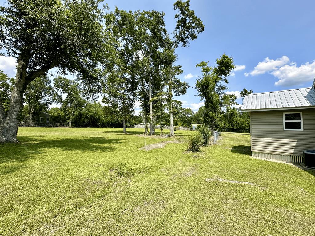 10221 S County Rd 55, Cottonwood, Alabama image 38