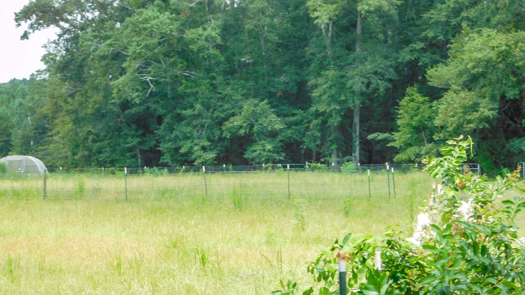 Dothan, Alabama 36301, United States, 4 Bedrooms Bedrooms, ,4 BathroomsBathrooms,Residential,Active,194493