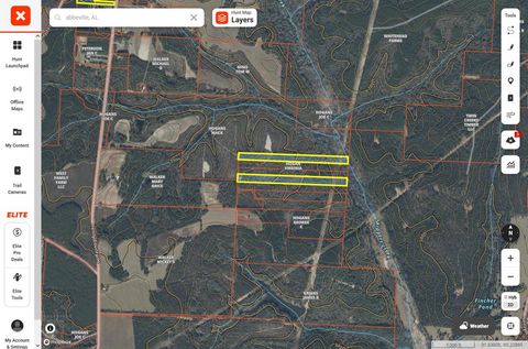 Vacant Land For Sale - TBD County Road 99<br/> Abbeville, AL 36310