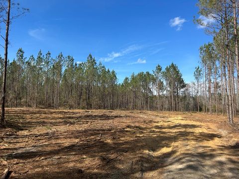 Vacant Land For Sale - LOT 3 15+-AC Cottonwood Rd/ Phillips Rd<br/> Cottonwood, AL 36320