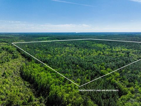Vacant Land For Sale - 165+/- ACRES Harrison Rd<br/> Kinston, AL 36453