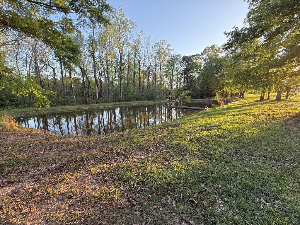 212 Man Hall Rd, Dothan, Alabama image 26