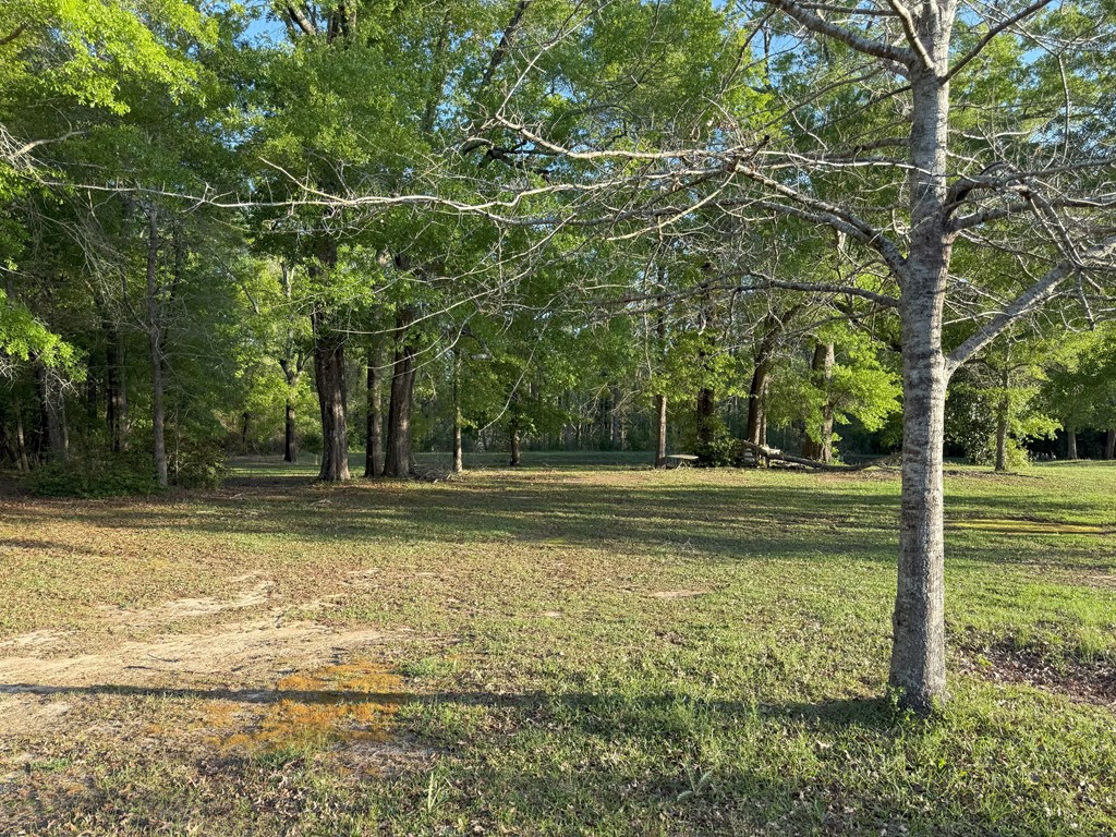 212 Man Hall Rd, Dothan, Alabama image 34