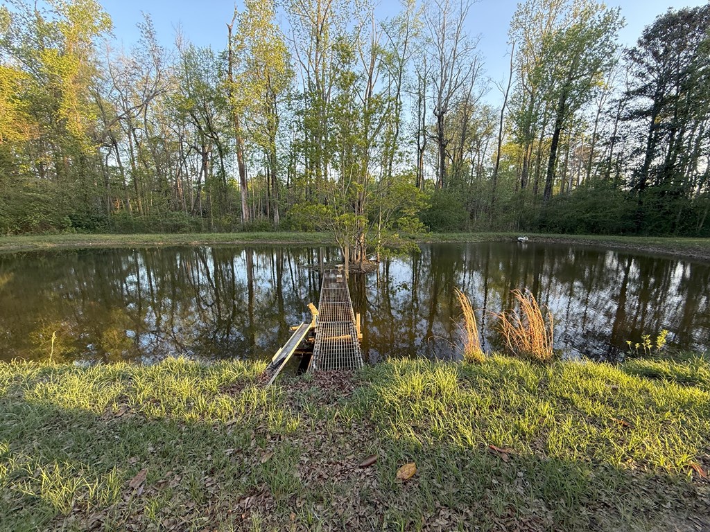 212 Man Hall Rd, Dothan, Alabama image 27