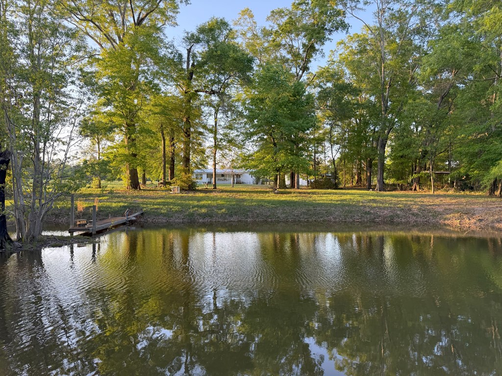 212 Man Hall Rd, Dothan, Alabama image 2