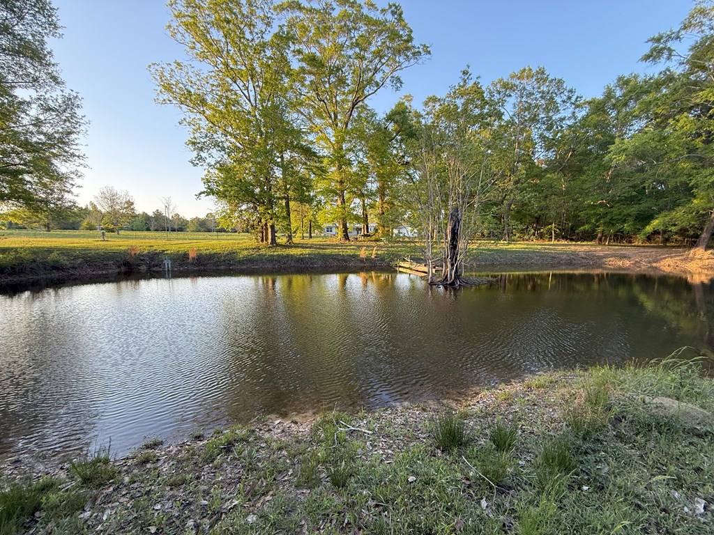 212 Man Hall Rd, Dothan, Alabama image 30
