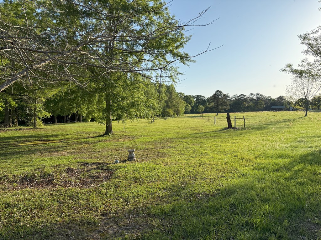 212 Man Hall Rd, Dothan, Alabama image 32