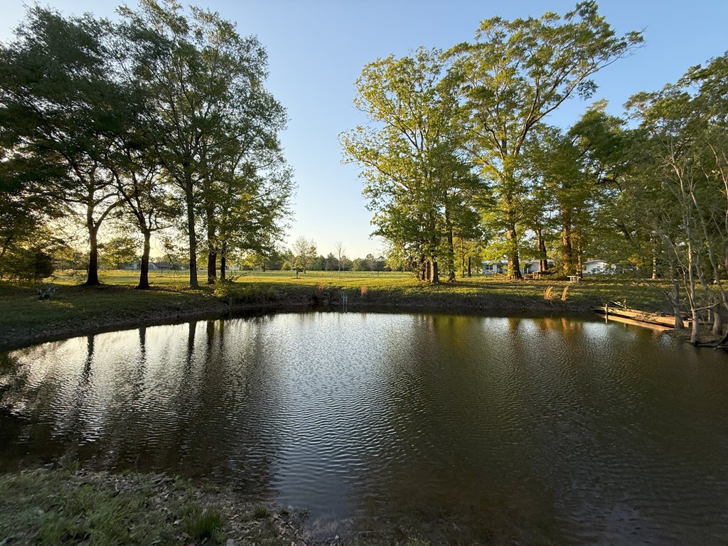 212 Man Hall Rd, Dothan, Alabama image 29