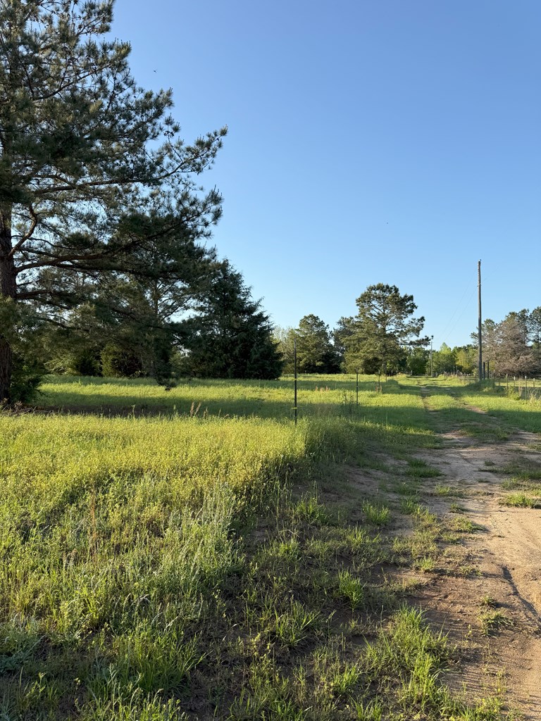 212 Man Hall Rd, Dothan, Alabama image 38