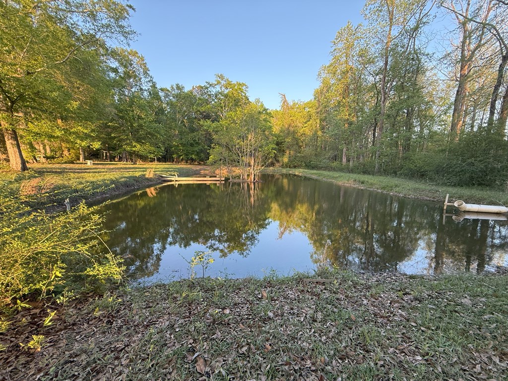 212 Man Hall Rd, Dothan, Alabama image 28
