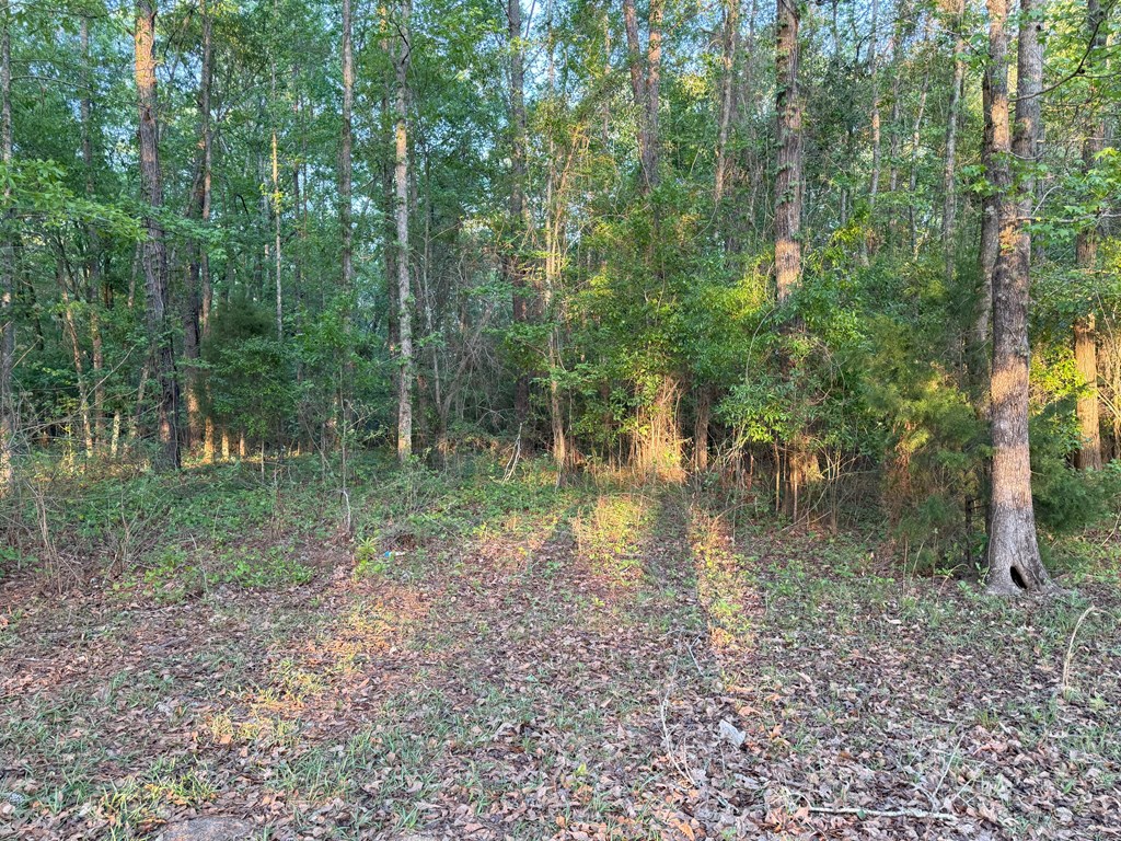 212 Man Hall Rd, Dothan, Alabama image 37
