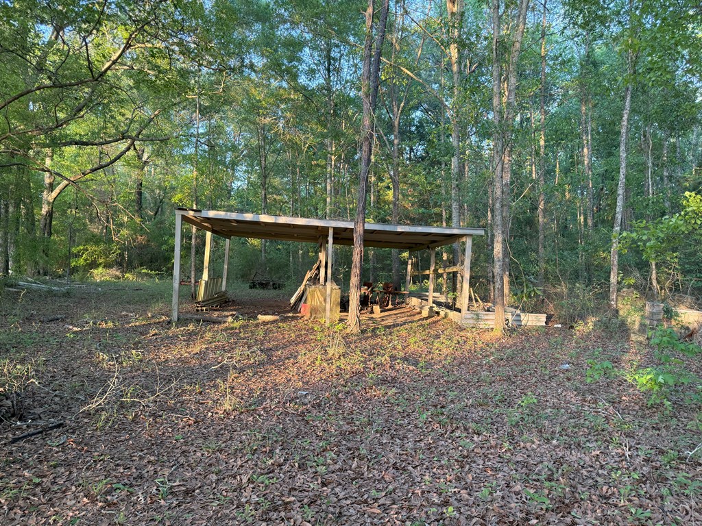 212 Man Hall Rd, Dothan, Alabama image 25