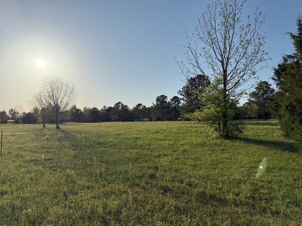 212 Man Hall Rd, Dothan, Alabama image 31