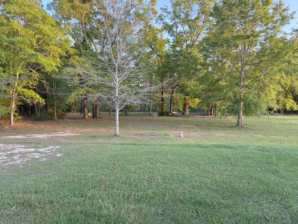 212 Man Hall Rd, Dothan, Alabama image 36