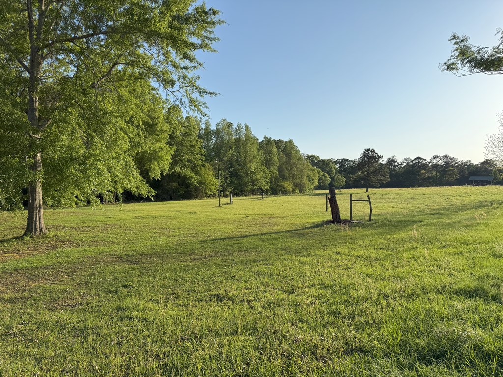 212 Man Hall Rd, Dothan, Alabama image 35