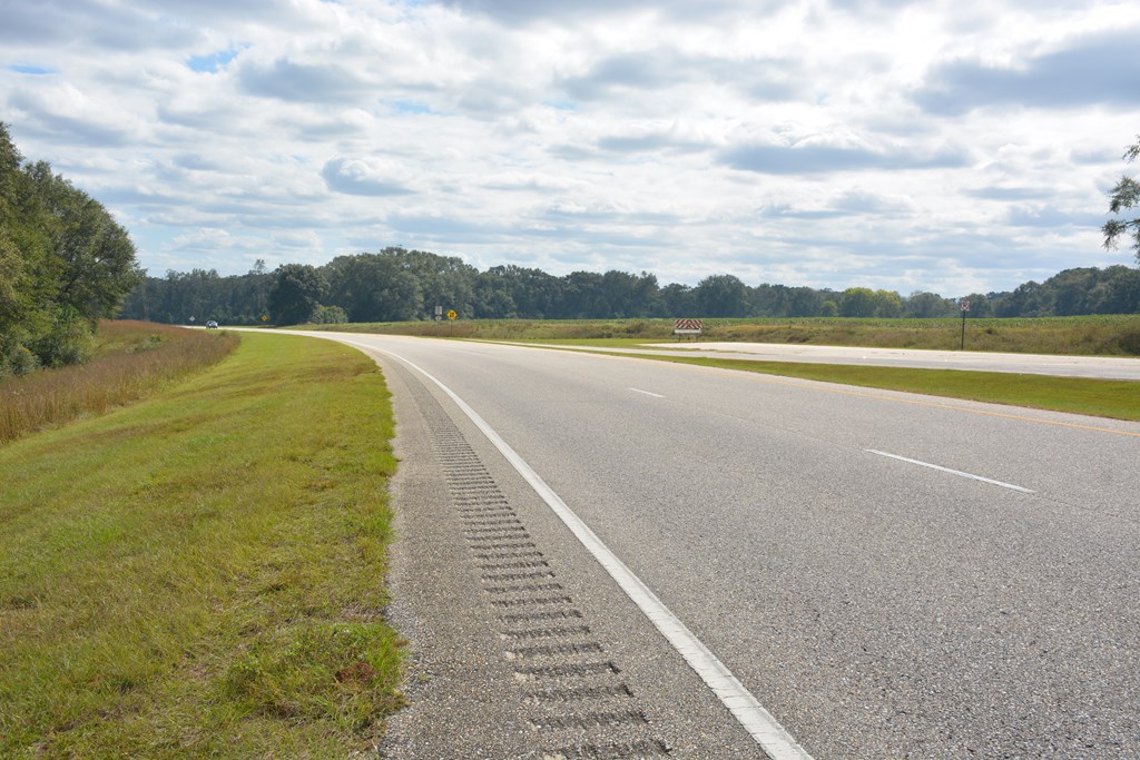 Boll Weevil Circle, Enterprise, Alabama image 24