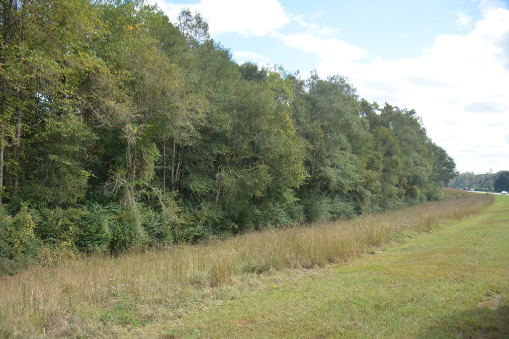 Boll Weevil Circle, Enterprise, Alabama image 6