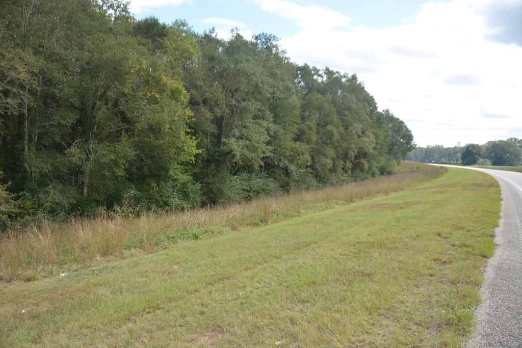 Boll Weevil Circle, Enterprise, Alabama image 2