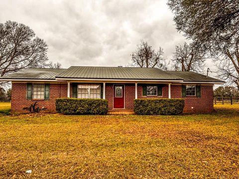 Homes For Sale - 8971 State Highway 10<br/> Shorterville, AL 36373