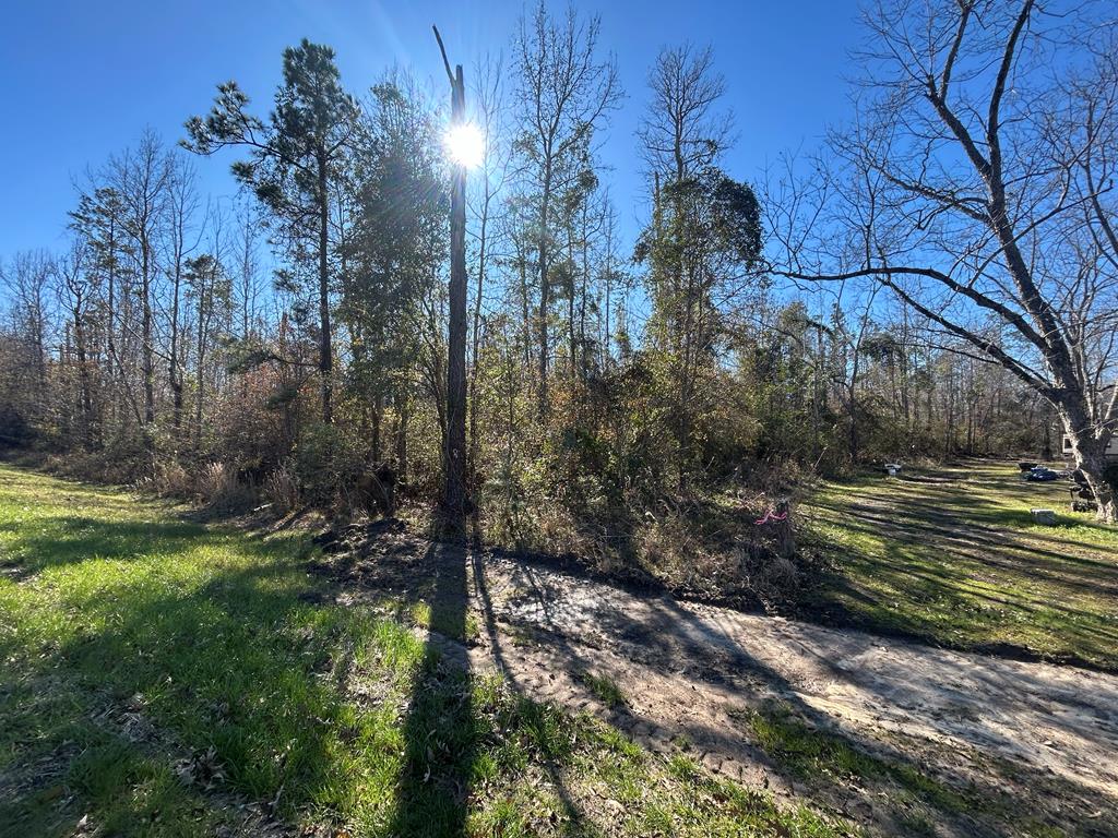 5.296+-ac Lot 1, Willie Varnum Rd, Cottonwood, Alabama image 6