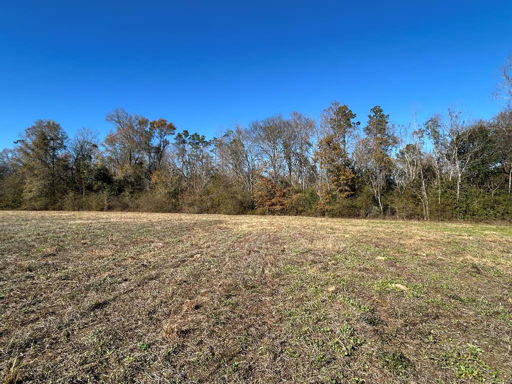 5.296+-ac Lot 1, Willie Varnum Rd, Cottonwood, Alabama image 1