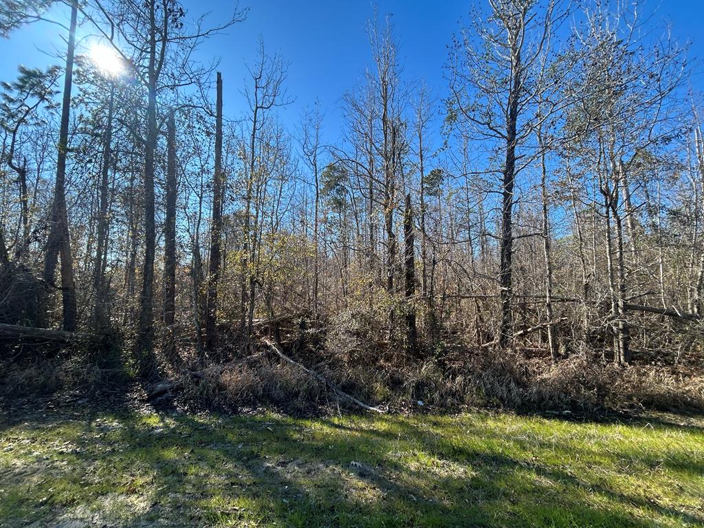 5.296+-ac Lot 1, Willie Varnum Rd, Cottonwood, Alabama image 8