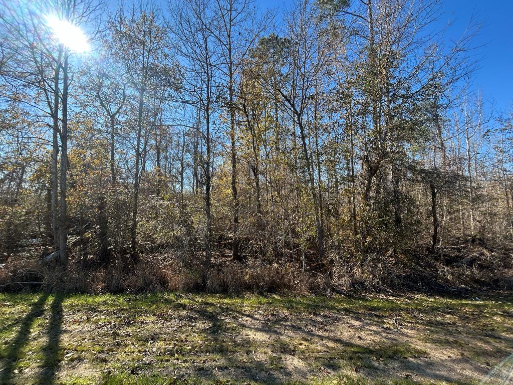 5.296+-ac Lot 1, Willie Varnum Rd, Cottonwood, Alabama image 9