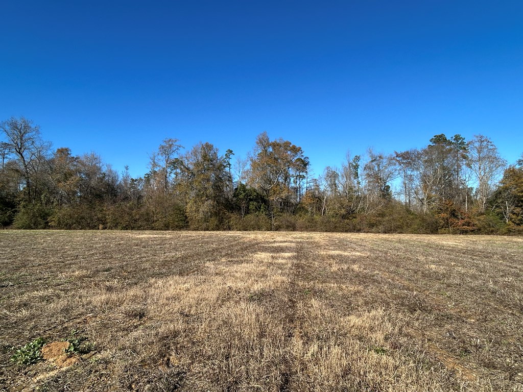 5.296+-ac Lot 1, Willie Varnum Rd, Cottonwood, Alabama image 16