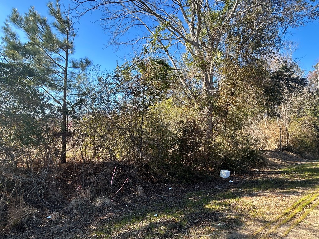 5.296+-ac Lot 1, Willie Varnum Rd, Cottonwood, Alabama image 13